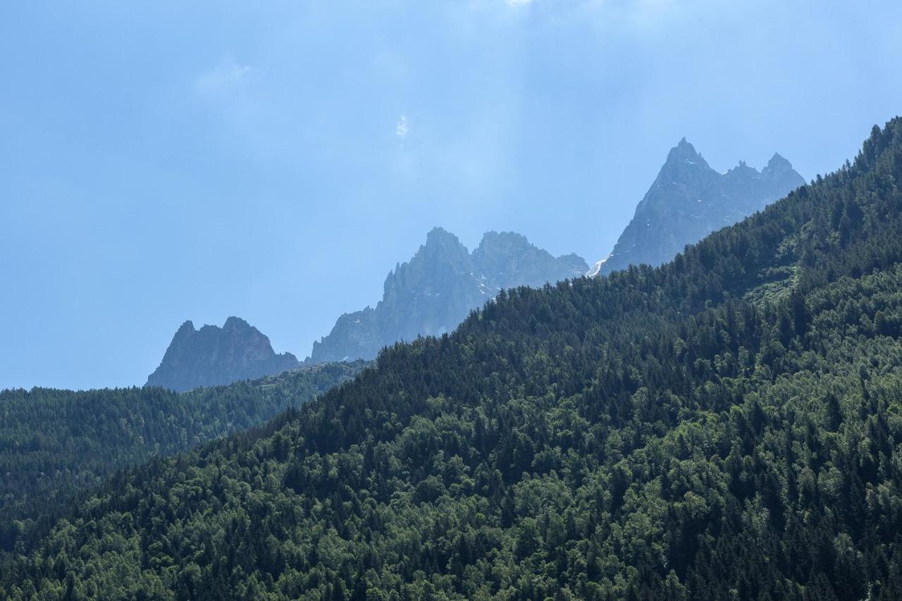 Apartment Iris 4 - Central Chamonix Haven Mont Blanc Ngoại thất bức ảnh